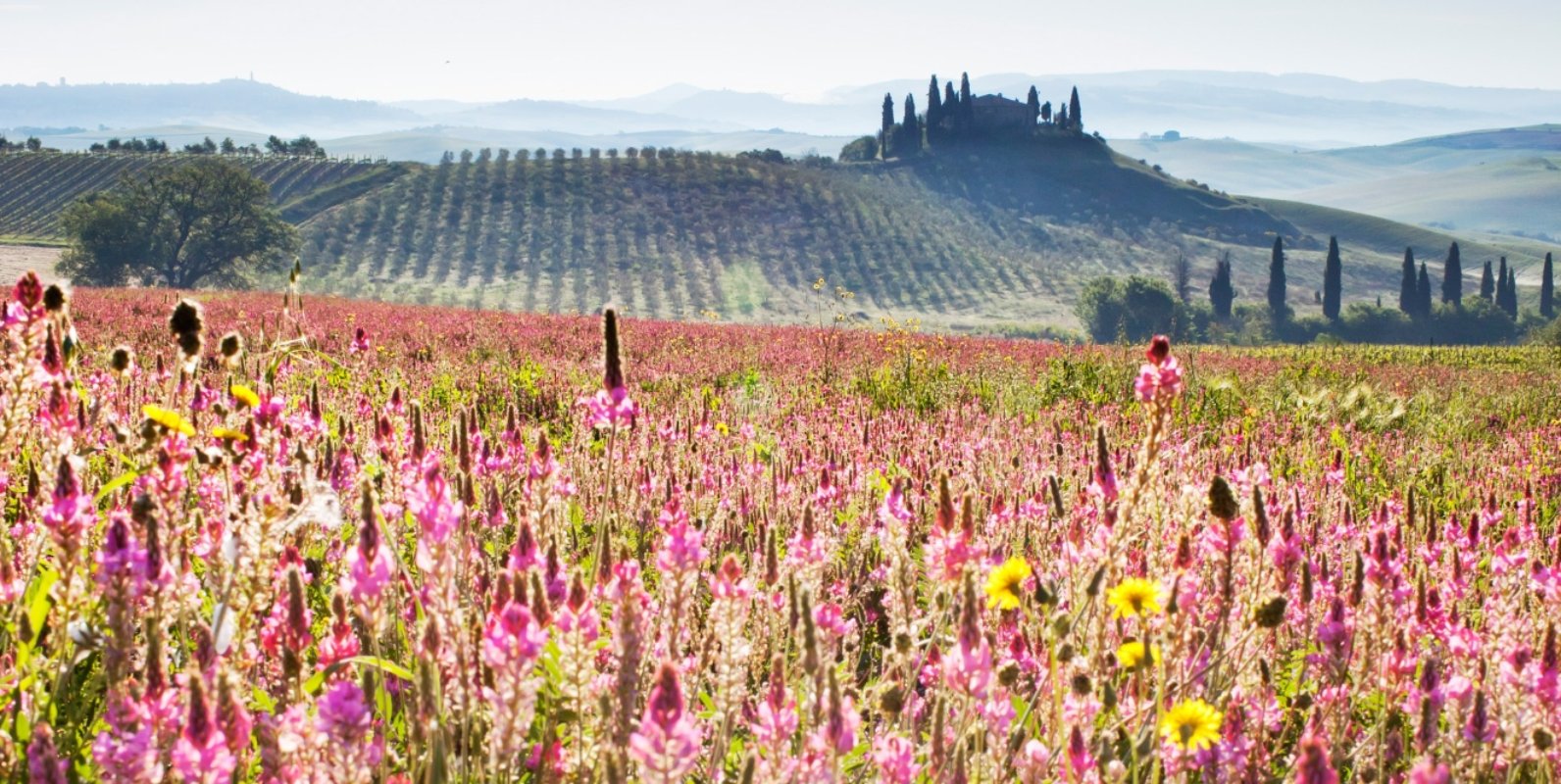 Florence & Tuscany – Unusual & Gourmet